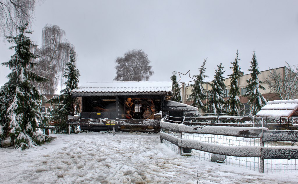 1-Snow (2)